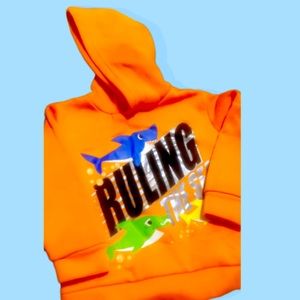 3t boys baby shark hoodie